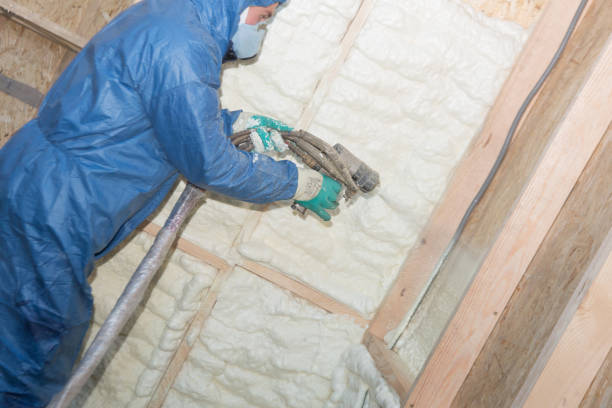 Best Attic Insulation Installation  in West Rancho Dominguez, CA